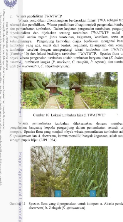 Gambar 10 Lokasi tumbuhan hias di TWA TWTP 