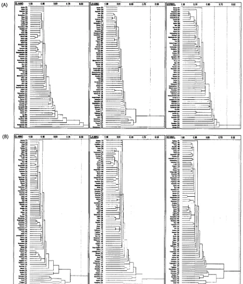 Gambar 1. Dendogram hasil analisis gerombol fuzzi terhadap data rata-rata curah hujan bulanan pada tahun El-Nino, La-nina dan Normal di daerah Pantura Banten (A) 