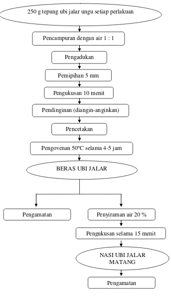 Gambar 6. Diagram Alir Proses Pembuatan Beras Tiruan Instan                                   dari Tepung Ubi Jalar Ungu  