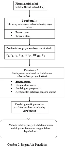 Gambar 2. Bagan Alir Penelitian 