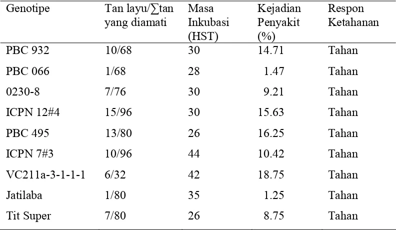 Tabel 7. Nilai rata-rata kejadian  penyakit  dan  masa  inkubasi   genotipe-genotipe                 cabai  dan  respon  ketahanan  terhadap   layu  bakteri   pada  lahan  yang               terinfestasi alami                