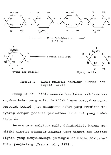Gambar 1. Rumus molekul selulosa (Fengel dan 