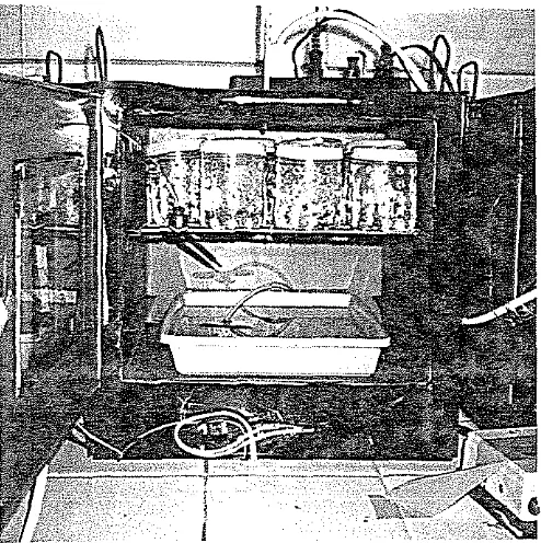 Gambar 6. Inkubator Sistem Fermentasi MPB 