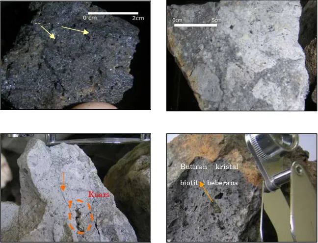 Figure 4. Specimen of dredged rocks. Basaltic with vesicular (a), volcaniclastic (b), moderately 