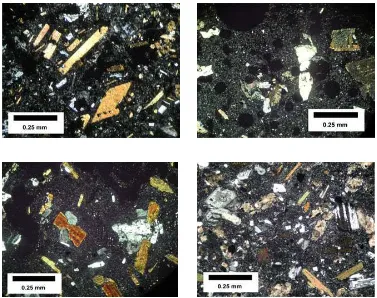 Figure 6. Petrographic of selected samples. Biotite andesite shows flow of phenocryst of 