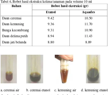 Gambar 8. Perbandingan warna antara hasil ekstraksi menggunakan pelarut aquades dan etanol 