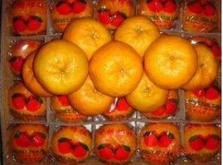 Gambar 7. Warna dan Kebersihan Kulit Jeruk Mandarin 