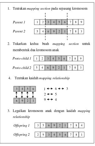 Gambar 9. Ilustrasi Metode PMX (Gen dan Cheng, 1997)