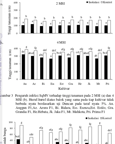 Gambar 3  Pengaruh infeksi SqMV terhadap tinggi tanaman pada 2 MSI (a) dan 4 