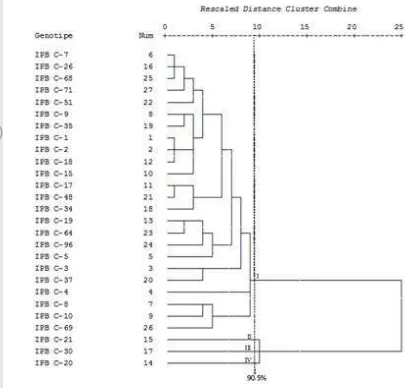 Gambar 14.  Dendogram 27 Genotipe Cabai Koleksi IPB Berdasarkan Karakter            Morfologi dan Biokimia 