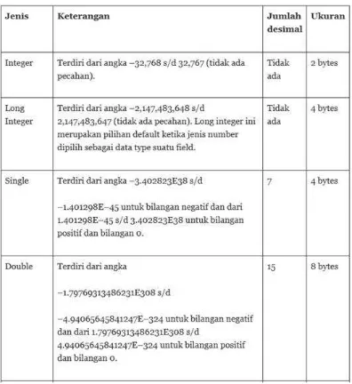 Gambar 21. 17. Tipe-tipe data untuk data numerik (angka) 