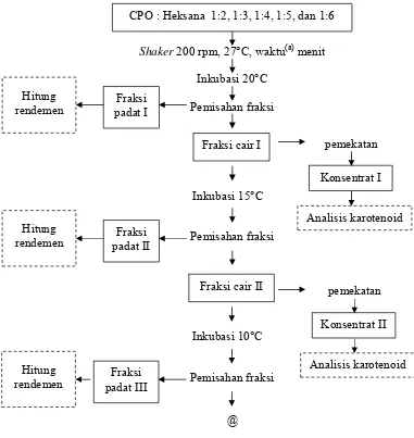 Gambar 5. Diagram alir proses fraksinasi bertahap (Modifikasi Mardawati, 2001)  
