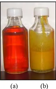 Gambar 9. Konsentrat karotenoid dalam minyak hasil fraksinasi  