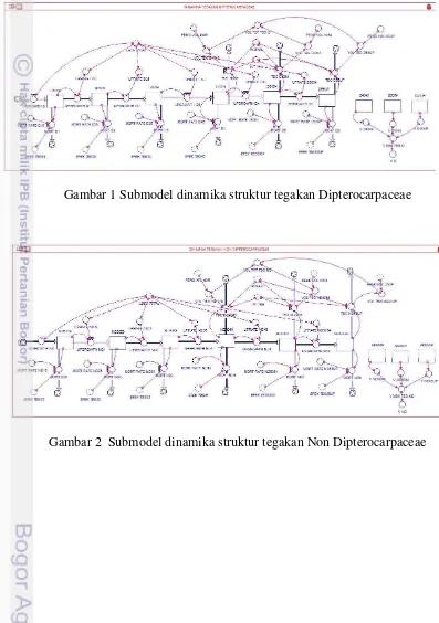 Gambar 1 Submodel dinamika struktur tegakan Dipterocarpaceae 