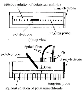Figure 3 : Electrode system [7] 