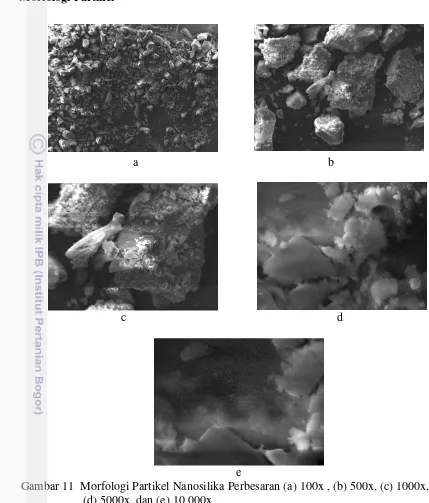 Gambar 11  Morfologi Partikel Nanosilika Perbesaran (a) 100x , (b) 500x, (c) 1000x, 