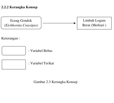 Gambar 2.3 Kerangka Konsep 