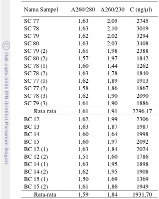 Tabel 6. Hasil pengukuran pada Spectrophotometer sampel cDNA dengan metode modifikasi