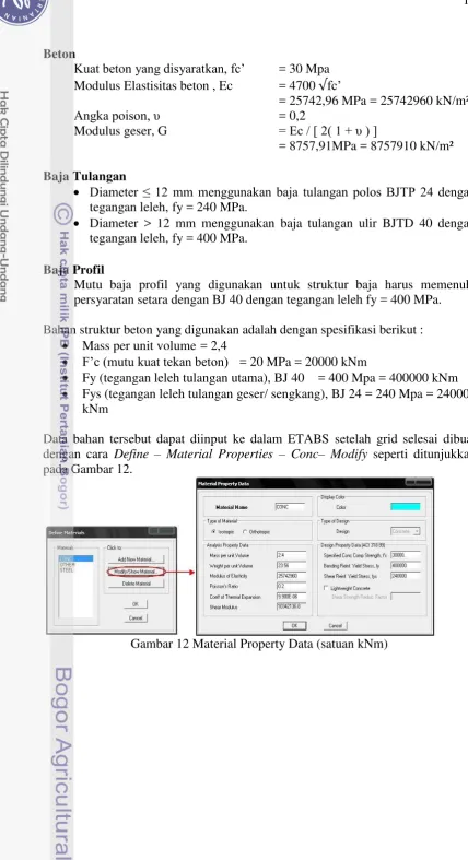 Gambar 12 Material Property Data (satuan kNm) 