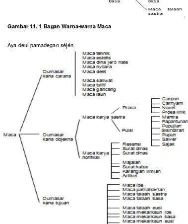 Gambar 11. 1 Bagan Warna-warna Maca 