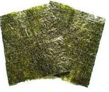 Gambar 5. Nori