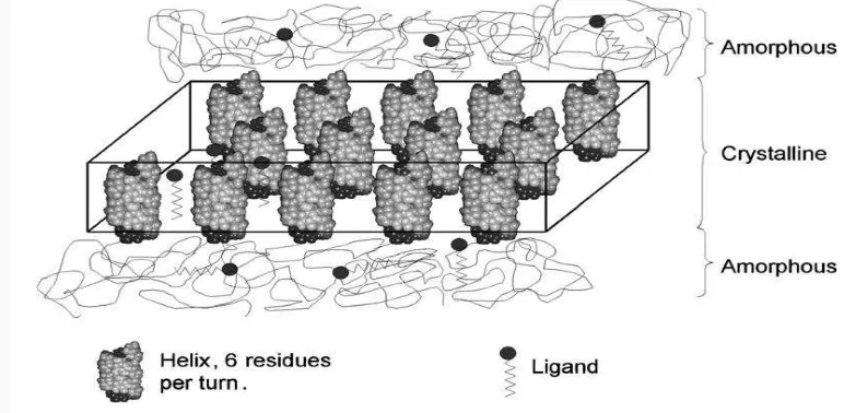 Gambar 3  Representasi skema struktur kompleks amilosa-bahan aktif dan 