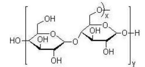 Gambar 4  Struktur molekul maltodekstrin (Smith 2008) 