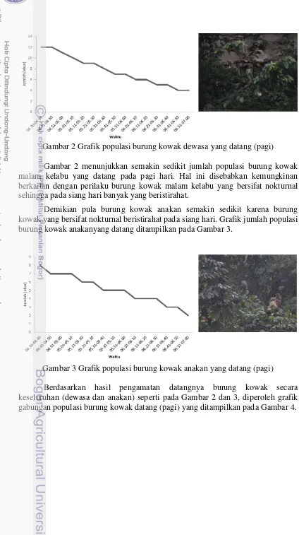 Gambar 2 menunjukkan semakin sedikit jumlah populasi burung kowak 