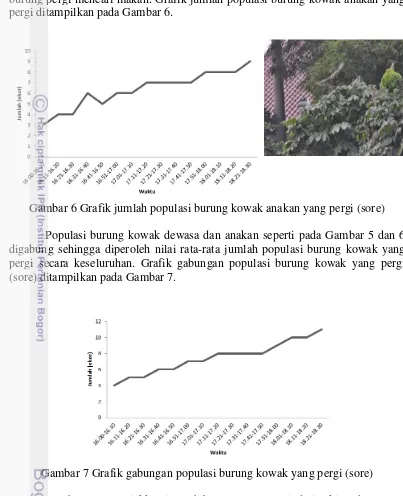 Gambar 7 Grafik gabungan populasi burung kowak yang pergi (sore) 