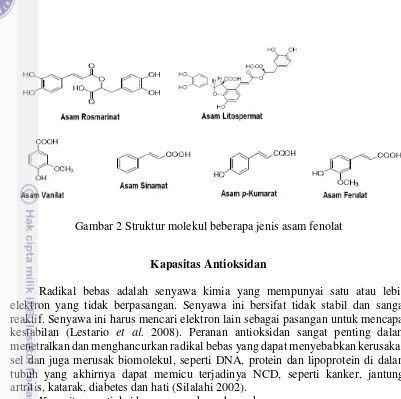 Gambar 2 Struktur molekul beberapa jenis asam fenolat 