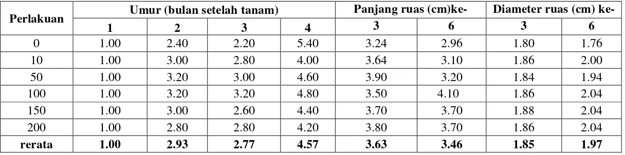 Tabel 16. Hasil Pengamatan Pertumbuhan tanaman umur 1 – 4 bulan setelah tanam : Tinggi tanaman (cm)