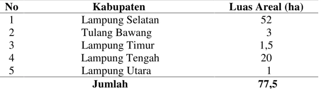 Tabel 2.  Luas areal tanaman buah naga di Provinsi Lampung, 2011