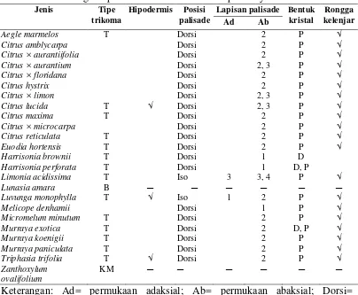 Tabel 3  Perbandingan tipe trikoma dan ciri anatomi pada sayatan transversal daun 