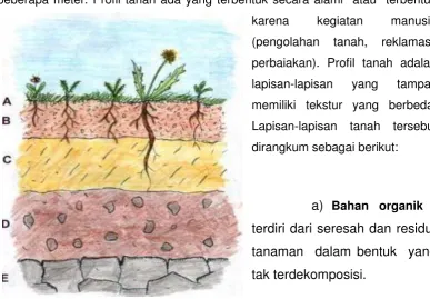 Gambar 1.3  Profil Tanah 