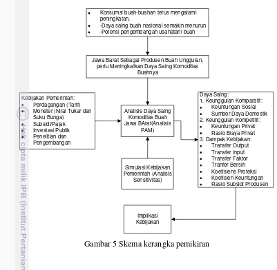 Gambar 5 Skema kerangka pemikiran 