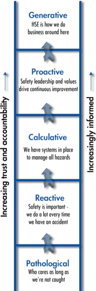 Figure 1: HSE culture ladder