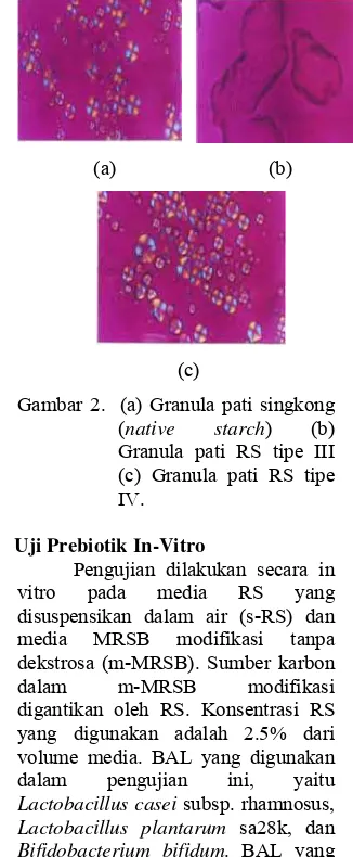 Gambar 2.  (a) Granula pati singkong 