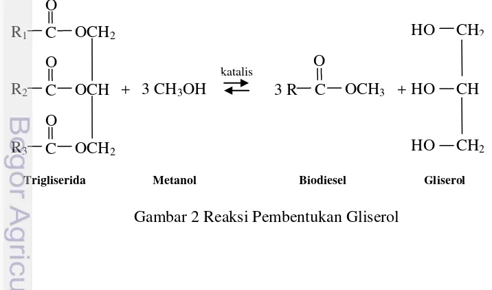 Gambar 2 Reaksi Pembentukan Gliserol 