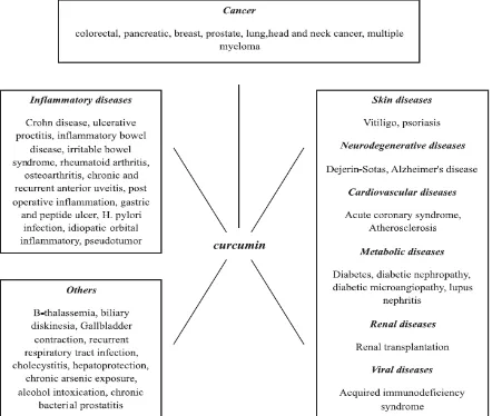 Figure 2. Human diseases against which curcumin has exhibiting activity (Gupta et al. 2013) 