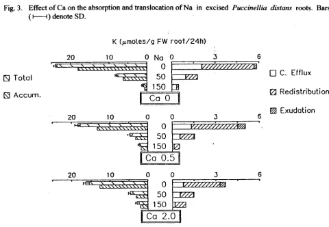Fig. 3. Effect ofCa on the absorption and translocation ofNa in excised Puccine//ia distans roots