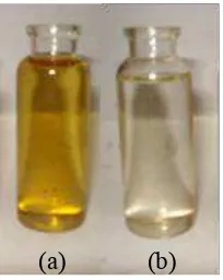 Gambar 21.  Reaksi pembentukan di-salt dan metanol (MacArthur et al., 2002) 