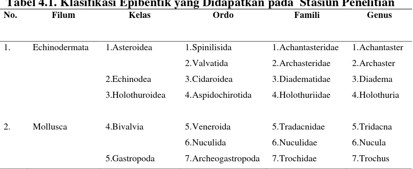 Tabel 4.1. Klasifikasi Epibentik yang Didapatkan pada  Stasiun Penelitian  