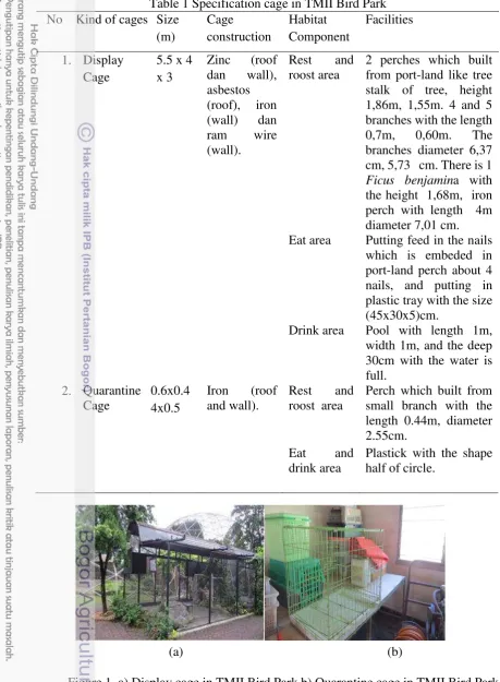Table 1 Specification cage in TMII Bird Park 