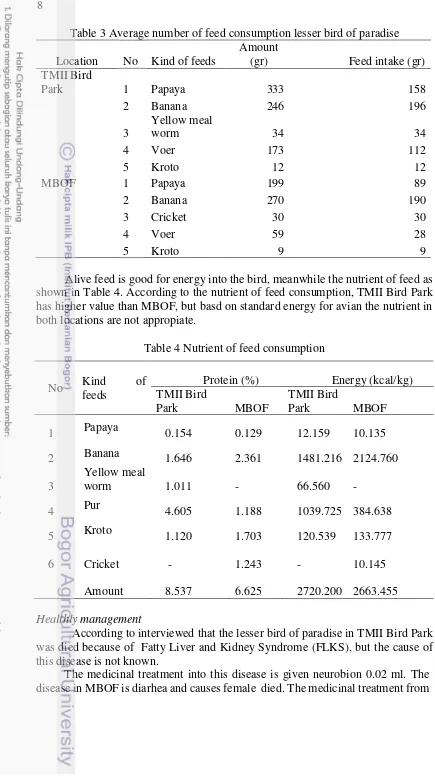 Table 3 Average number of feed consumption lesser bird of paradise 