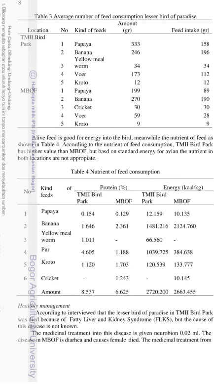 Table 3 Average number of feed consumption lesser bird of paradise 
