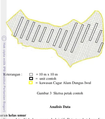 Gambar 3  Sketsa petak contoh 