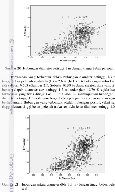 Gambar 20  Hubungan diameter setinggi 1 m dengan tinggi bebas pelepah iwul 