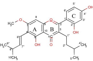 Gambar 4. Struktur Artokarpin (Arung et al., 2008)  