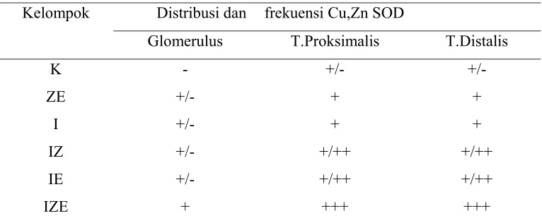 Tabel 1. Distribusi dan frekuensi antioksidan pada jaringan ginjal tikus  