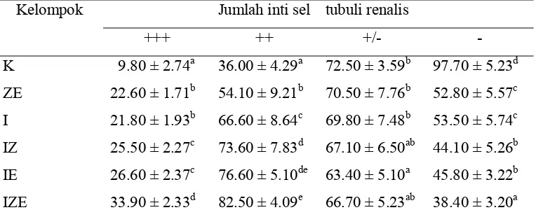 Tabel 2.Rata-rata jumlah sel tubuli renalis pada berbagai tingkat kandungan   antioksidan   Cu,Zn-SOD pada jaringan ginjal tikus perlakuan perlapang pandang pada perbesaran 20x 